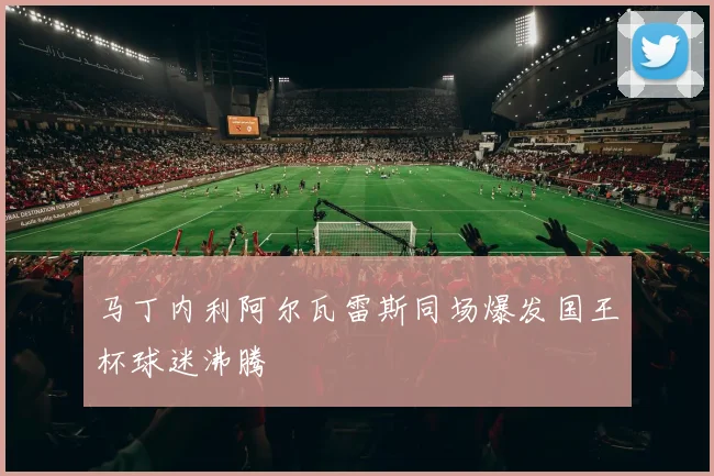 马丁内利阿尔瓦雷斯同场爆发国王杯球迷沸腾