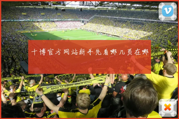 十博官方网站新手先看哪几页在哪
