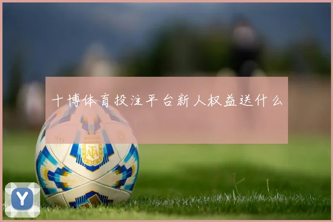 十博体育投注平台新人权益送什么