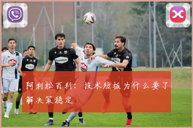 阿利松百科:技术短板为什么要了解决策稳定
