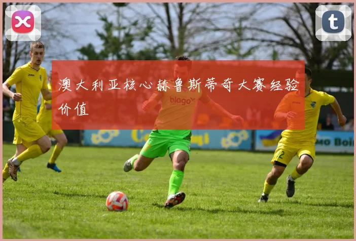 澳大利亚核心赫鲁斯蒂奇大赛经验价值