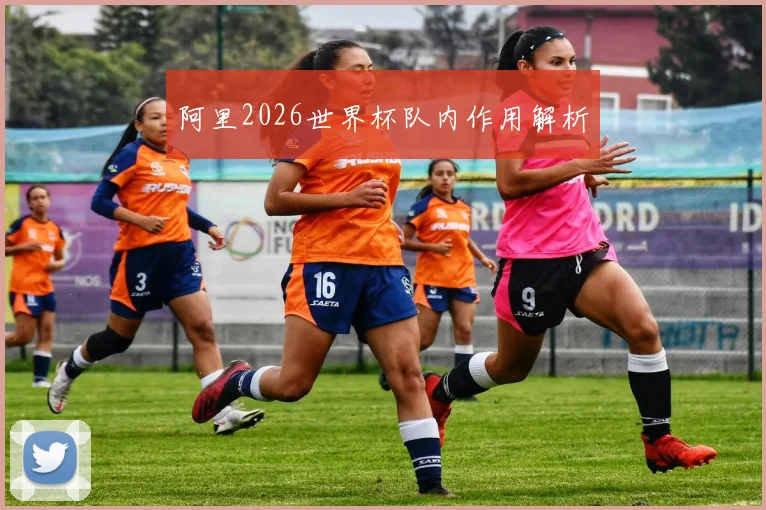 阿里2026世界杯队内作用解析